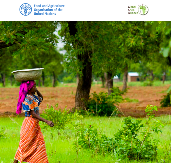 New Report Substantiates Sheaâ€™s Impact On Climate Sustainability